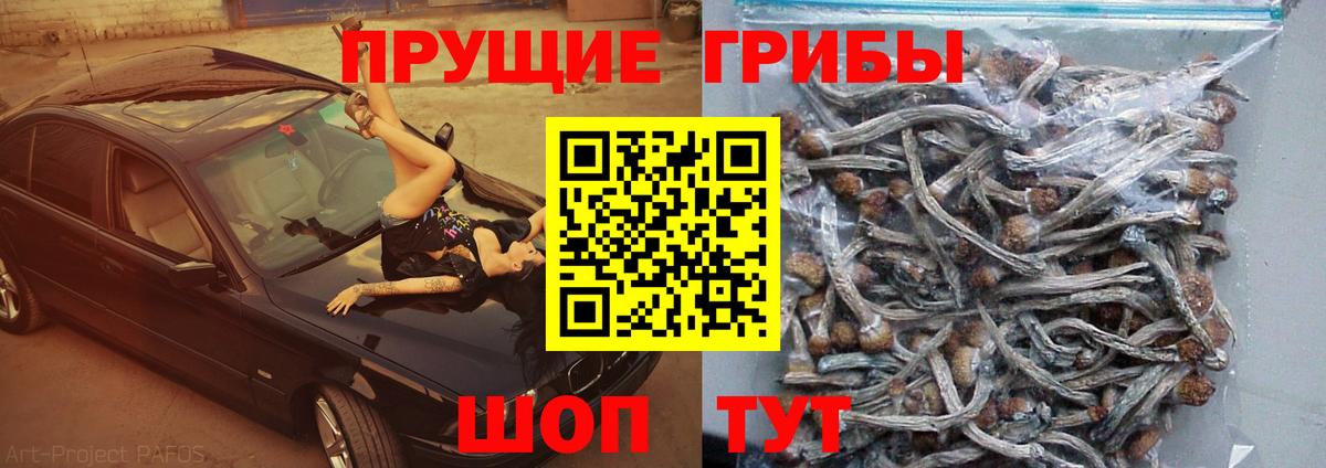 Псилоцибиновые грибы мухоморы Екатеринбург
